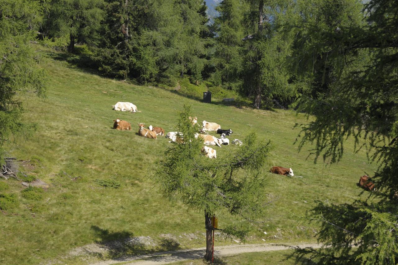 Chaletdorf-Fanningberg Weisspriach Exterior foto